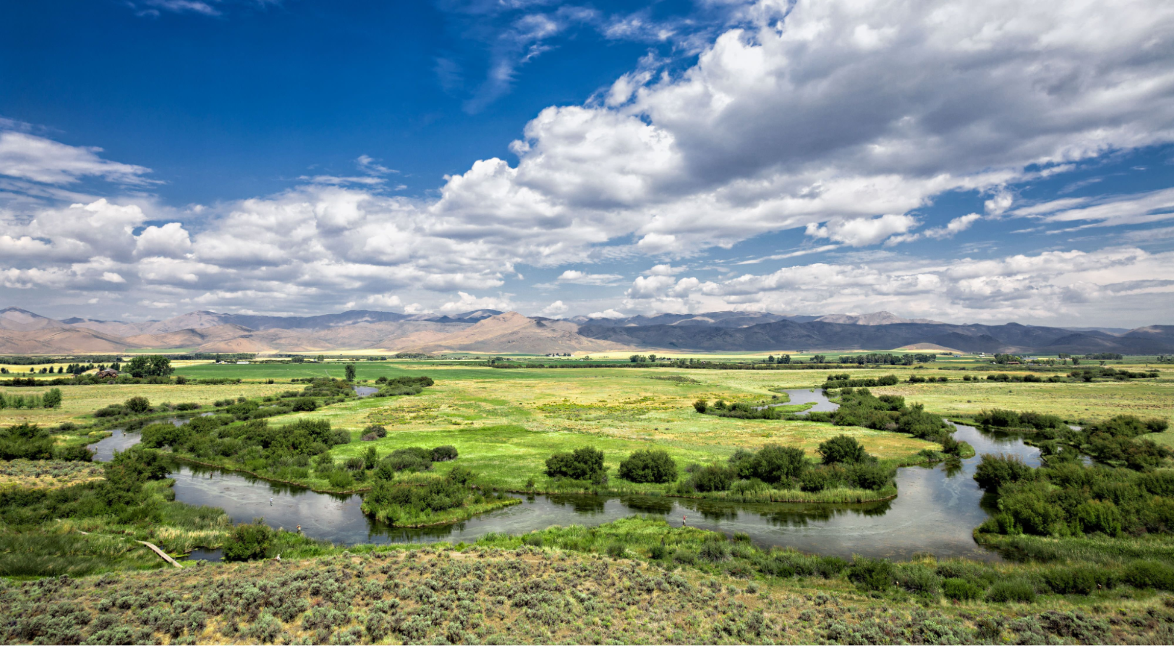 a river running through a green field