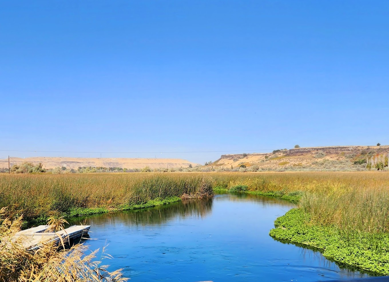 Billingsley Creek Wildlife Management Area Billingsley Creek Wildlife Management Area