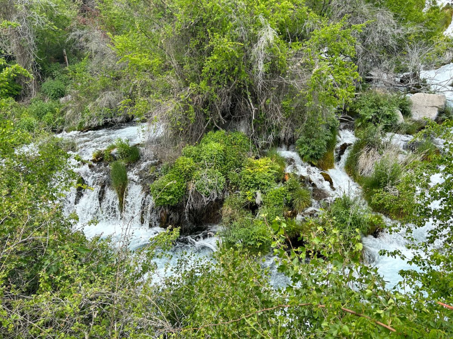 a waterfall in a forest a waterfall in a forest
