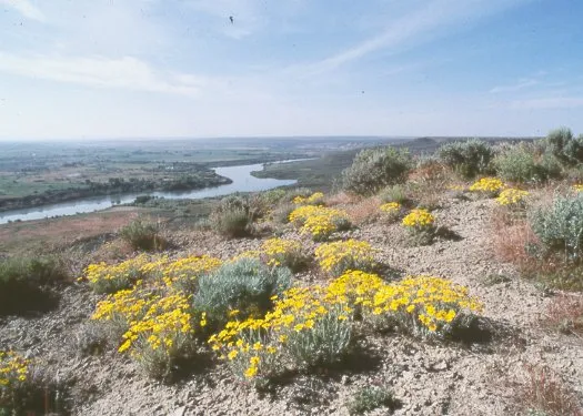Hagerman Fossil Beds National Monument in Bliss, ID Hagerman Fossil Beds National Monument in Bliss, ID