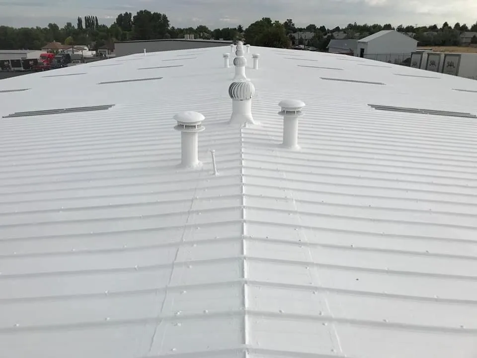 Why Does Roof Insulation Need Moisture Control?